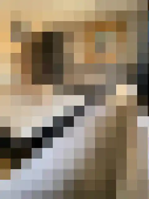Vooruitstraat 60 Purmerend thumbnail 6
