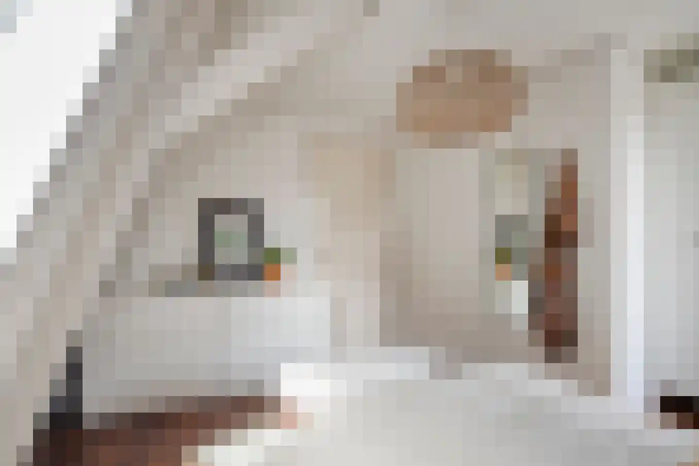 Vooruitstraat 63 Purmerend thumbnail 19