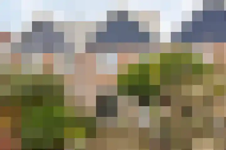 Vooruitstraat 81 Purmerend thumbnail 35