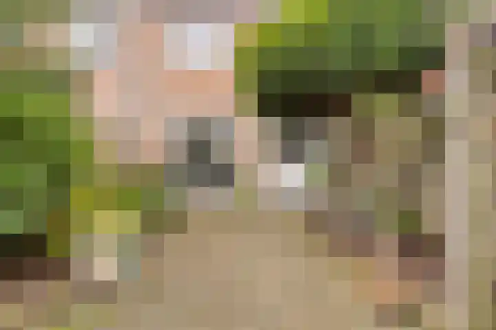 Vooruitstraat 81 Purmerend thumbnail 36