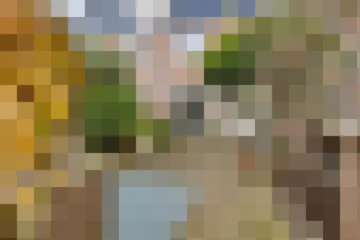 Vooruitstraat 81 Purmerend thumbnail 37