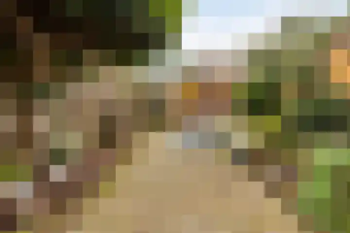 Vooruitstraat 81 Purmerend thumbnail 38