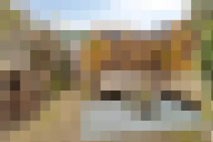 Vooruitstraat 81 Purmerend thumbnail 39