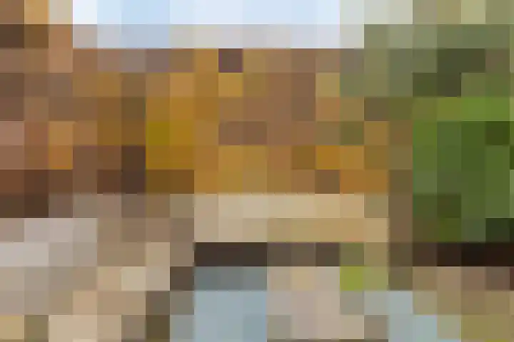 Vooruitstraat 81 Purmerend thumbnail 40