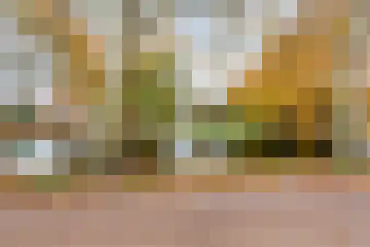 Vooruitstraat 81 Purmerend thumbnail 42