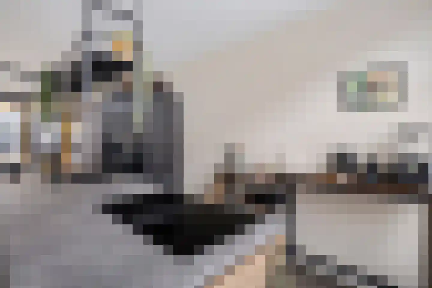 Vooruitstraat 95 Purmerend thumbnail 10