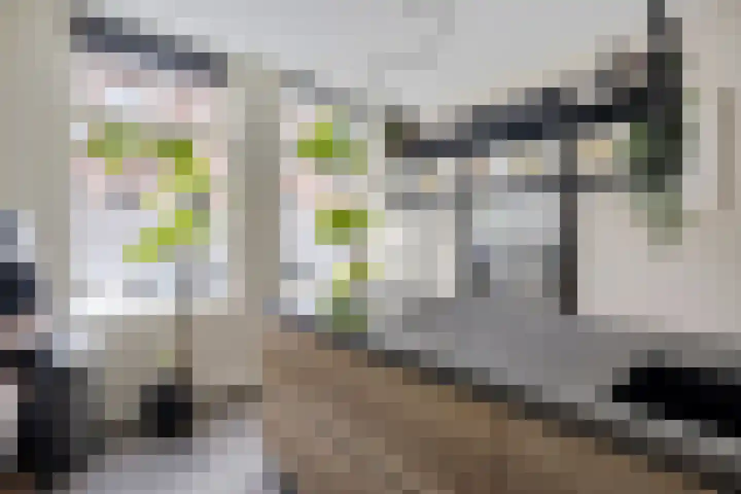 Vooruitstraat 95 Purmerend thumbnail 11