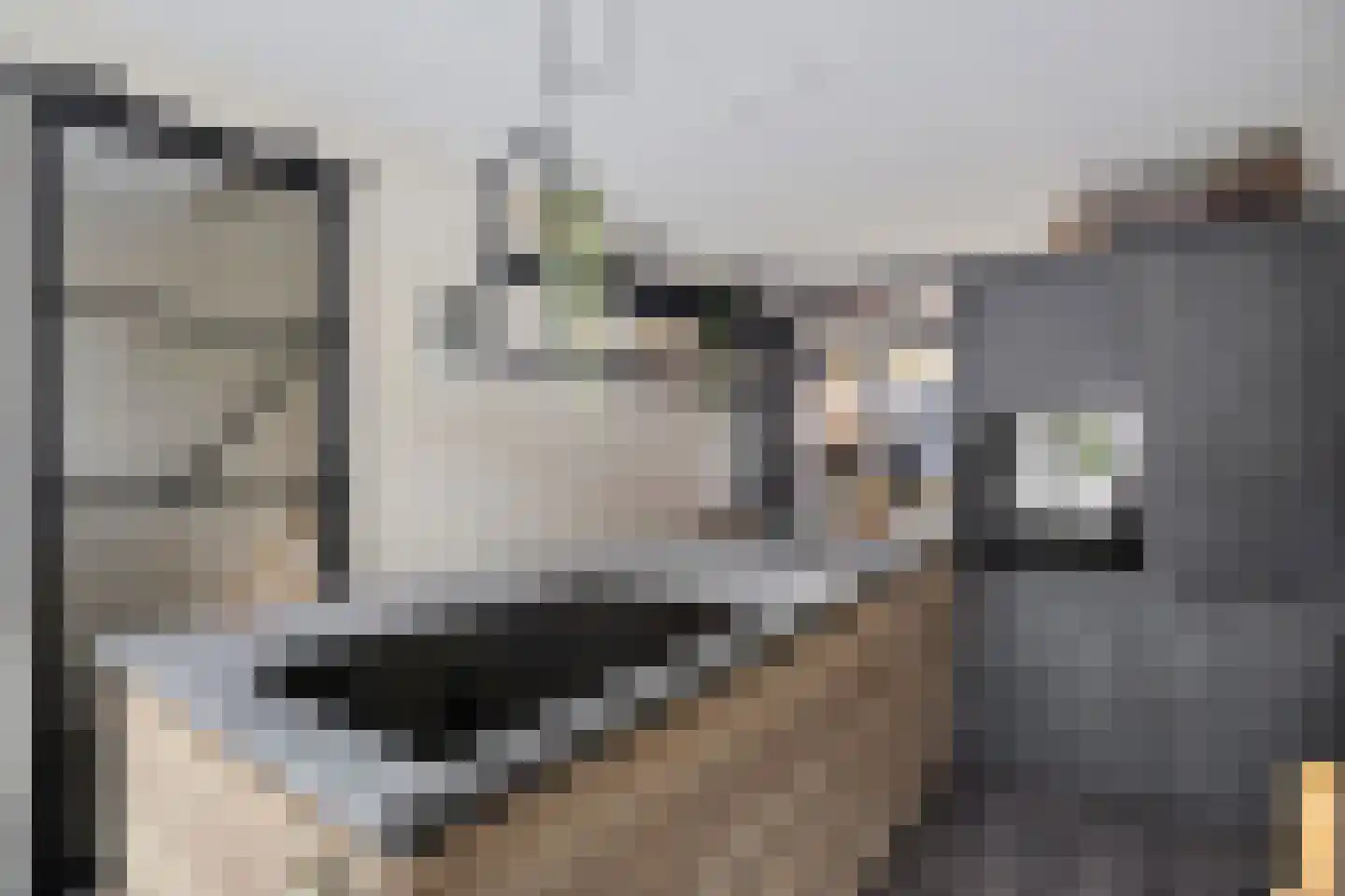 Vooruitstraat 95 Purmerend thumbnail 12