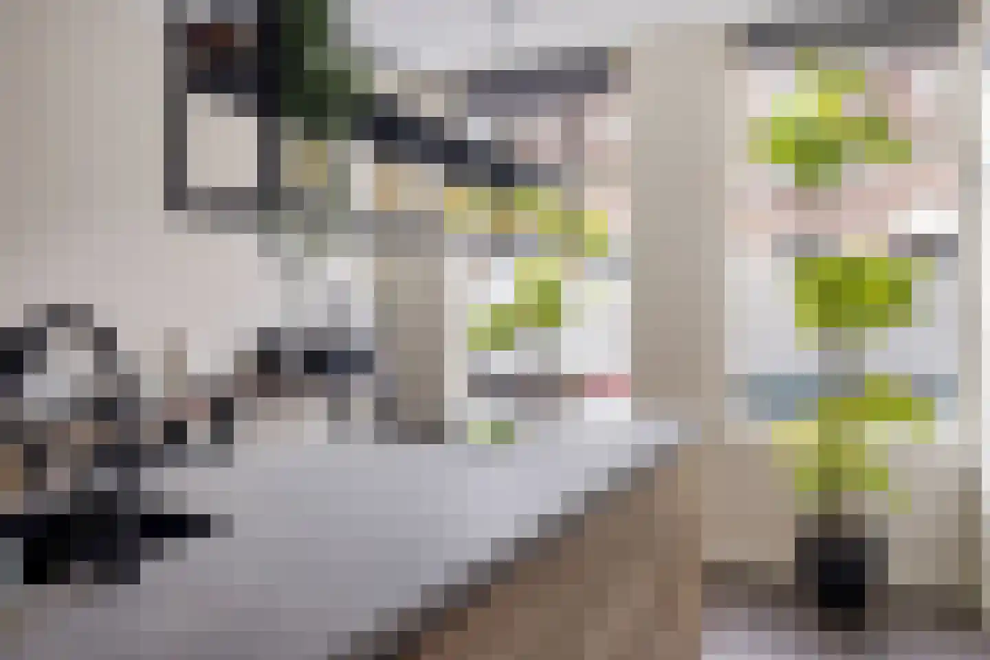 Vooruitstraat 95 Purmerend thumbnail 19