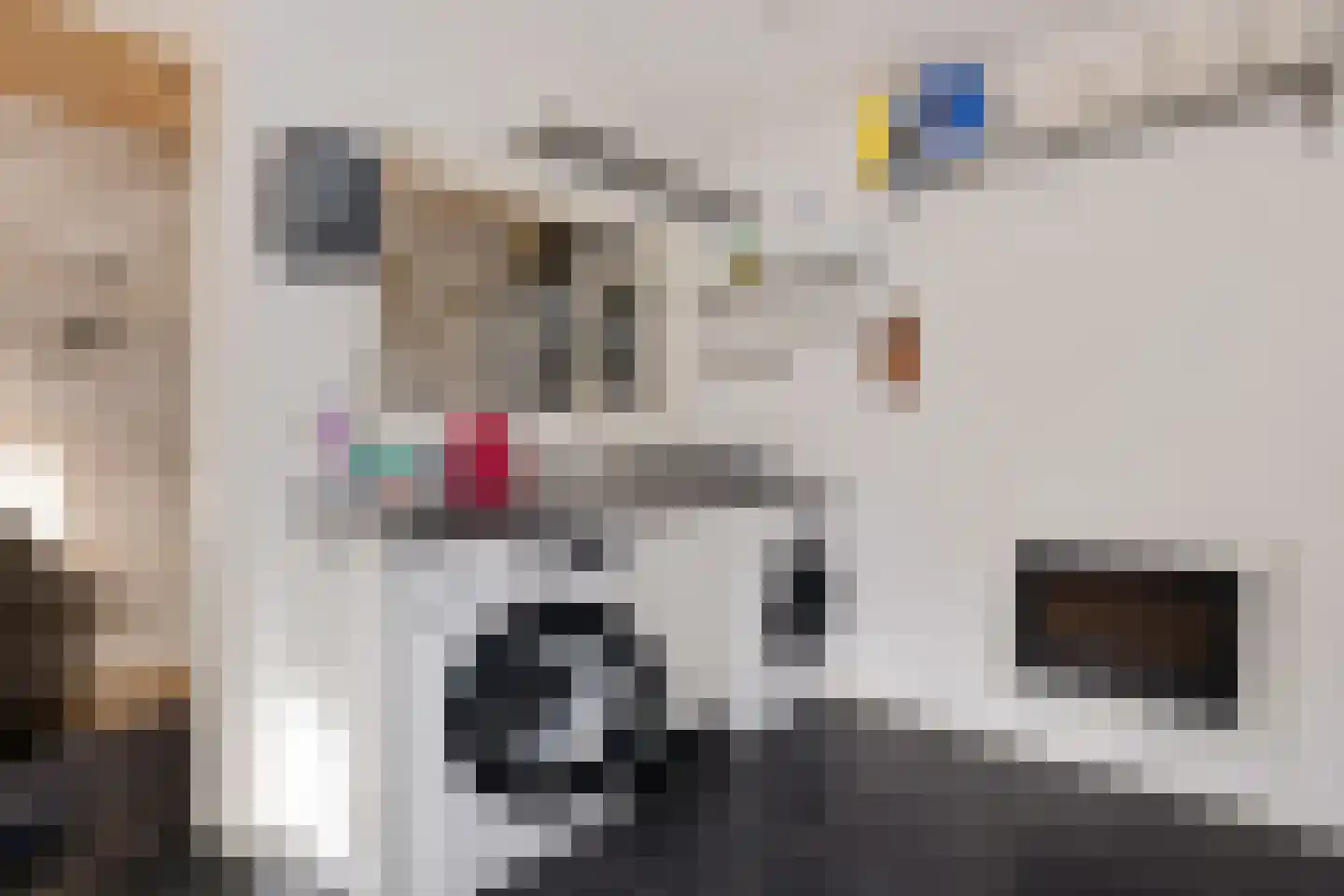 Vooruitstraat 95 Purmerend thumbnail 38