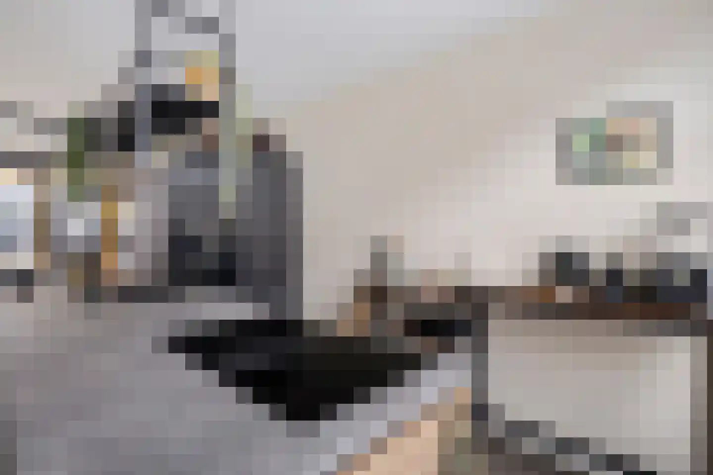 Vooruitstraat 95 Purmerend thumbnail 9