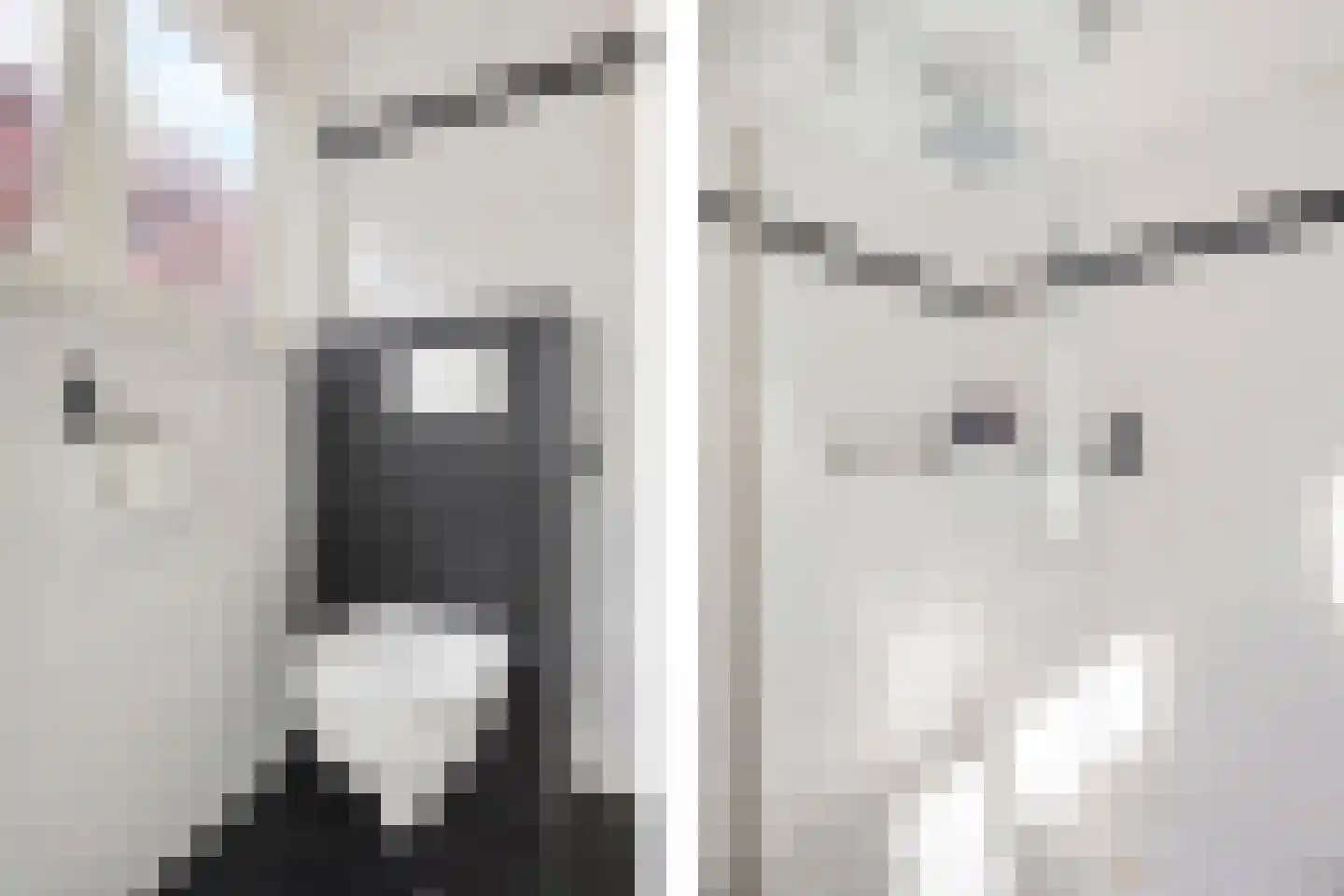 Vooruitstraat 95 Purmerend thumbnail 9