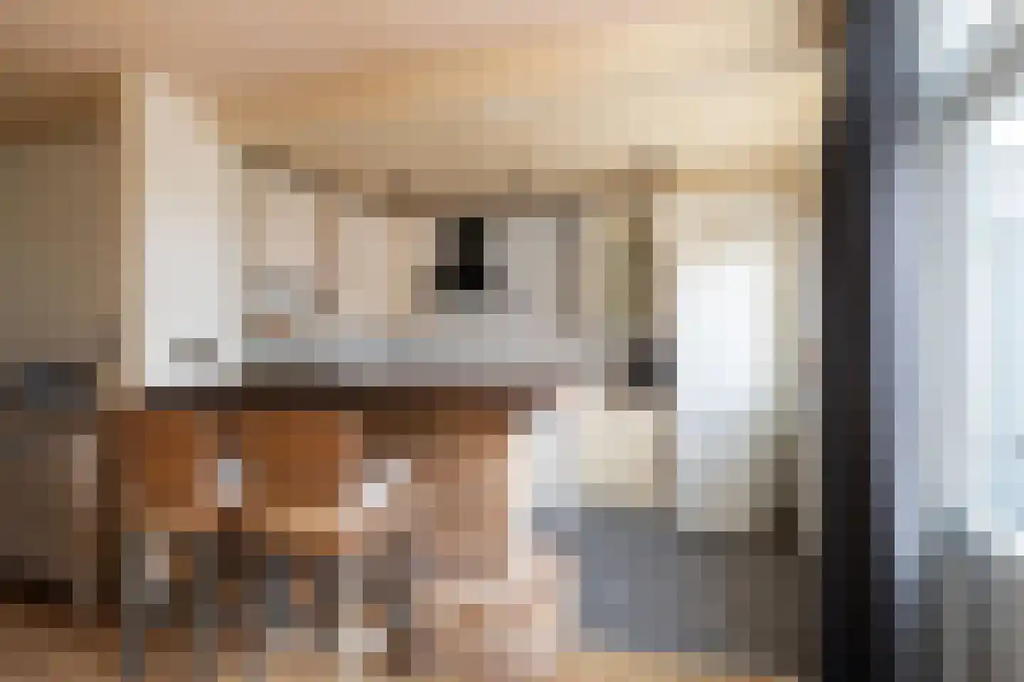 Voorvang 4 Breda thumbnail 10