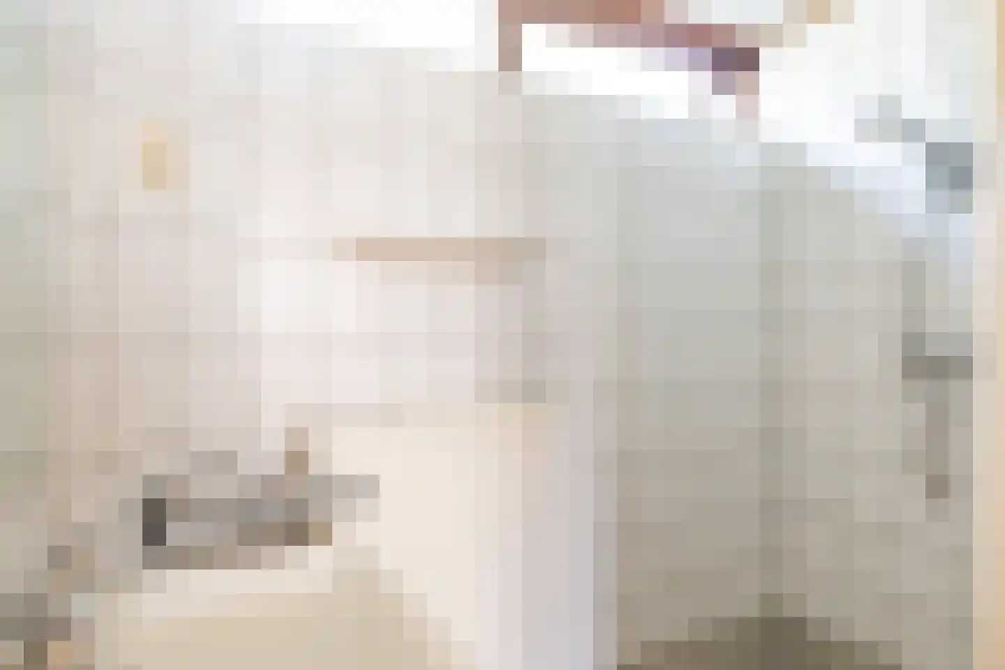 Voorvang 4 Breda thumbnail 20