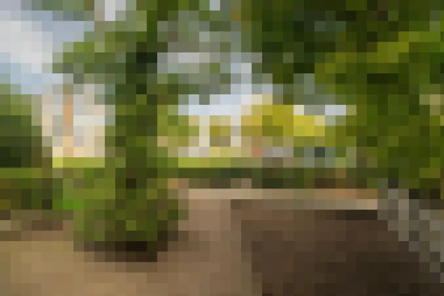 Voorvang 4 Breda thumbnail 4