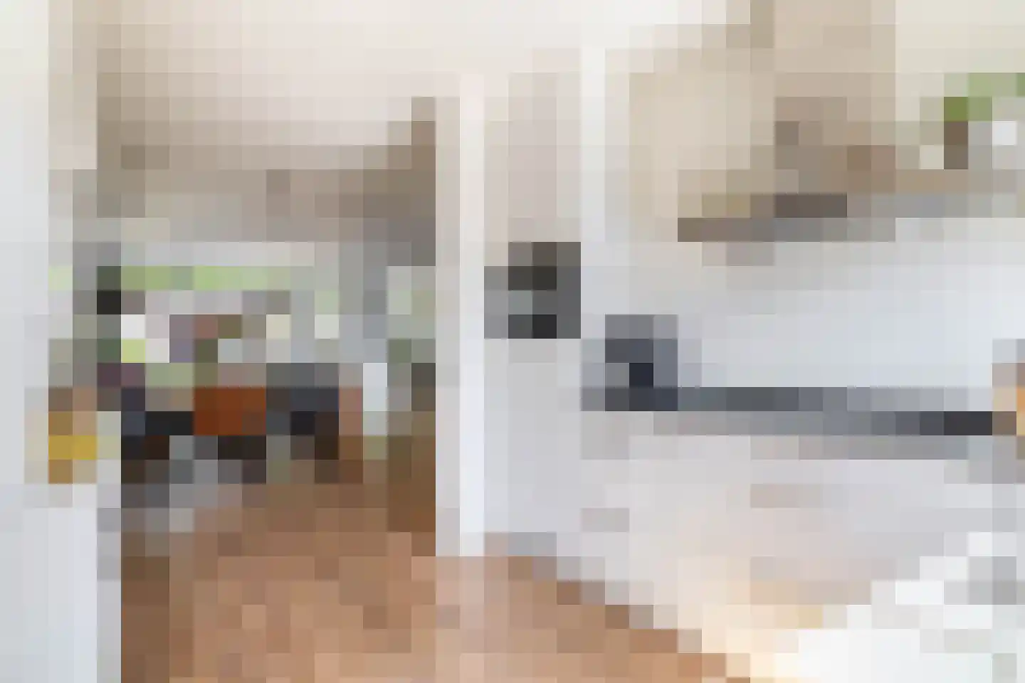 Voorvisser 8 Koog aan de Zaan thumbnail 12