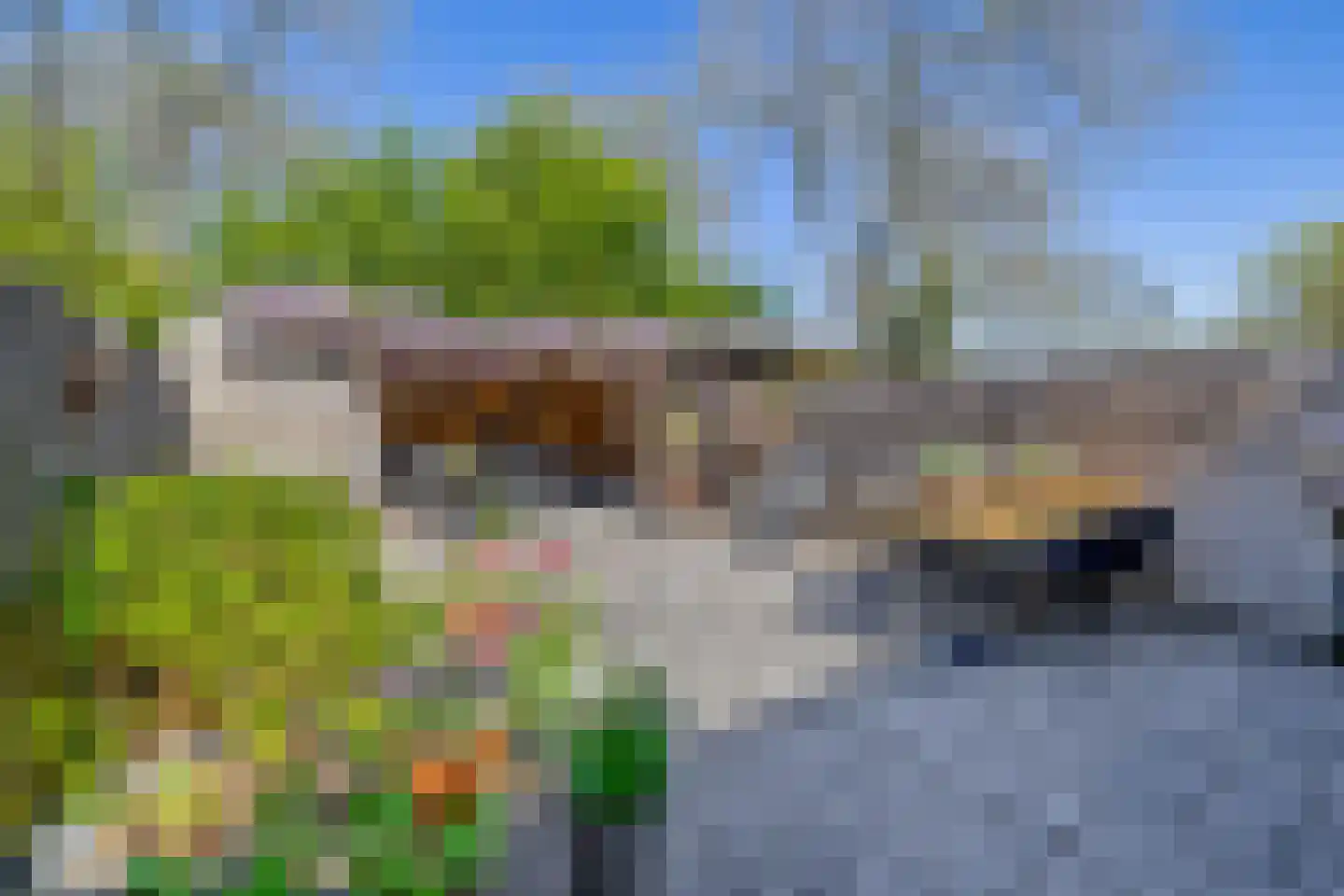 Voorvisser 8 Koog aan de Zaan thumbnail 14