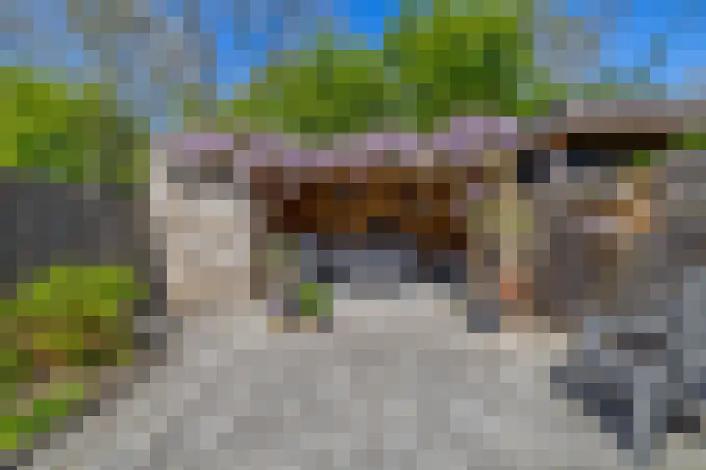 Voorvisser 8 Koog aan de Zaan thumbnail 15