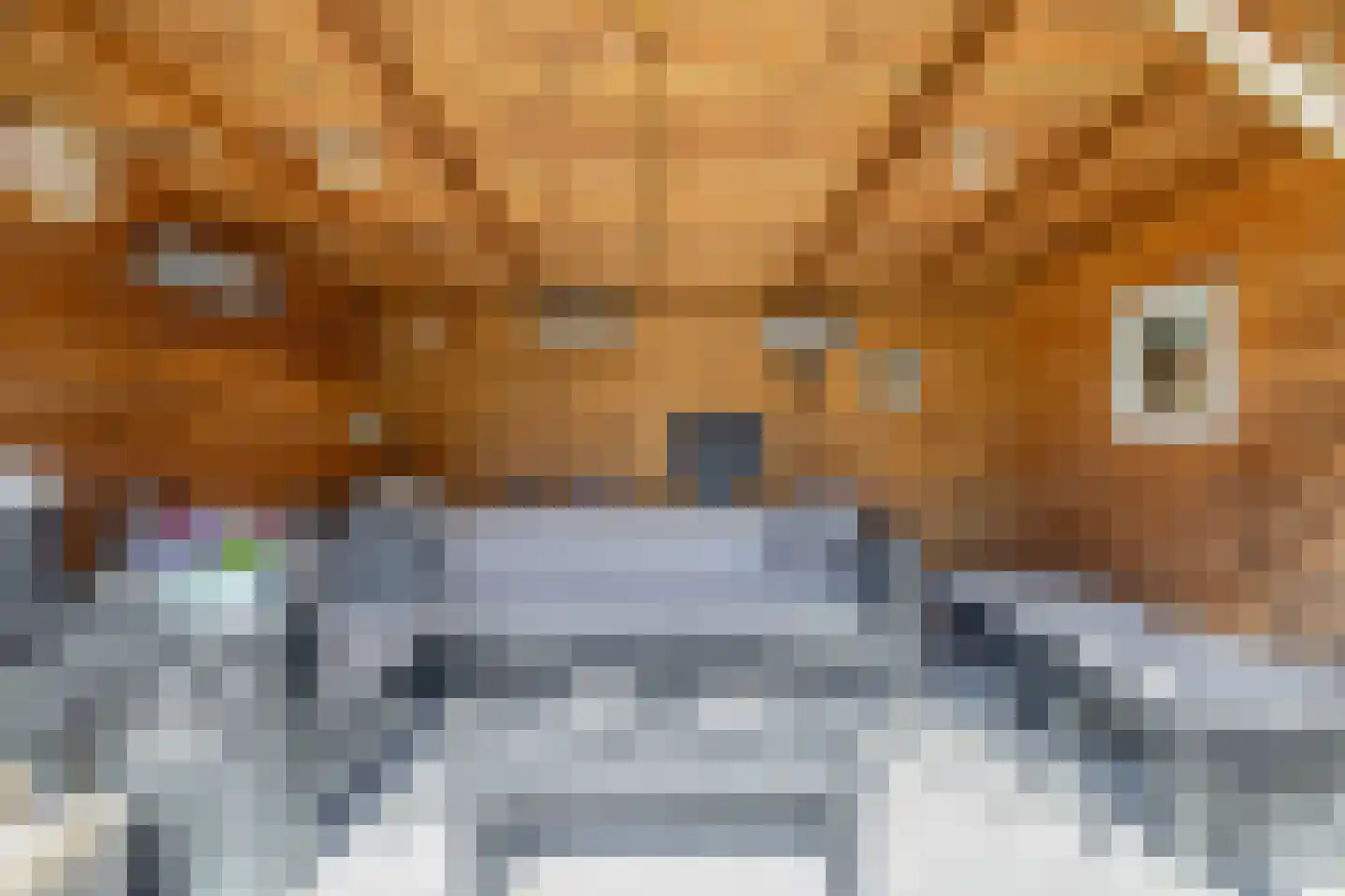 Voorvisser 8 Koog aan de Zaan thumbnail 16
