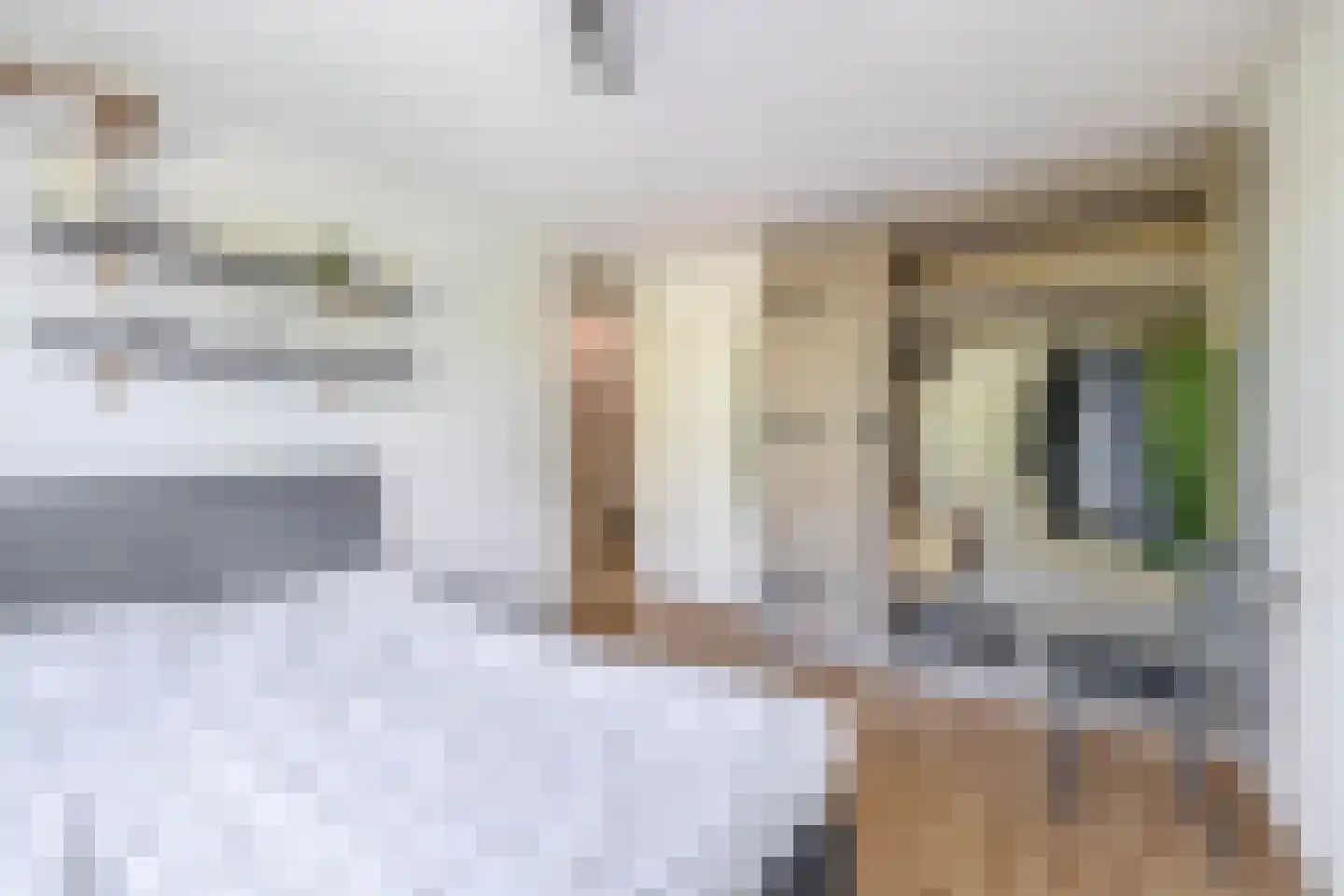 Voorvisser 8 Koog aan de Zaan thumbnail 22