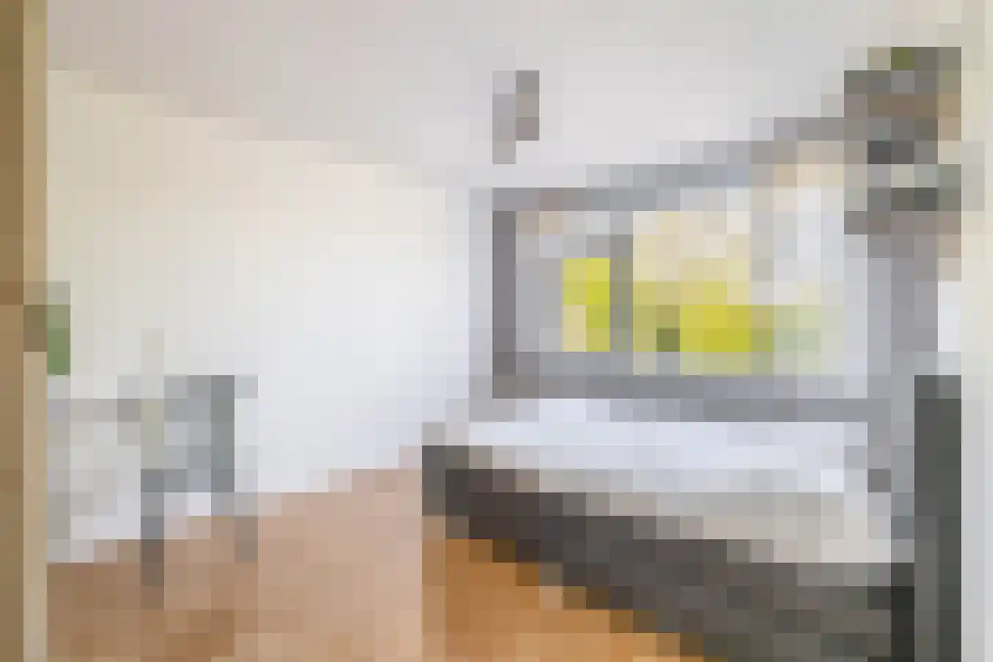 Voorvisser 8 Koog aan de Zaan thumbnail 23