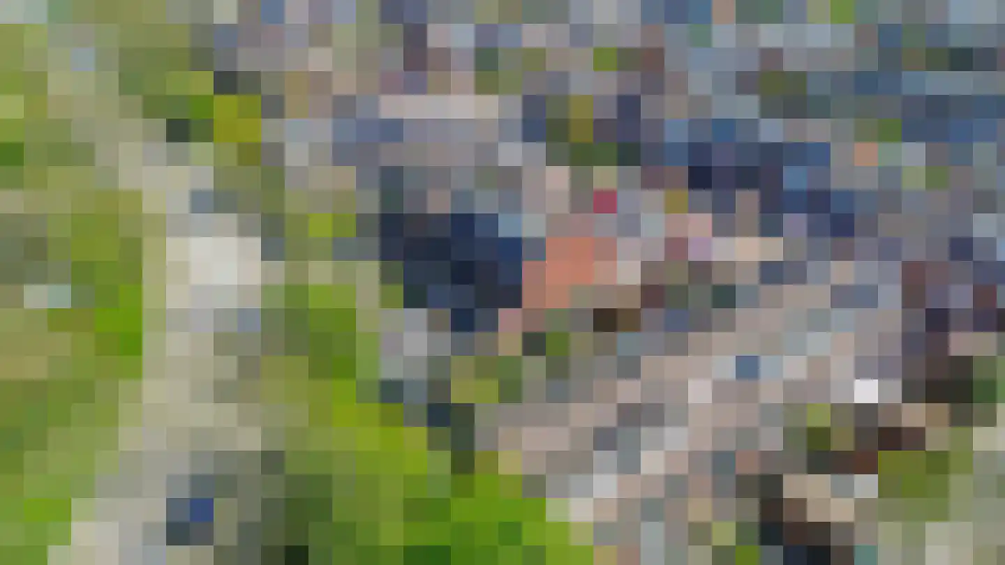 Voorvisser 8 Koog aan de Zaan thumbnail 45