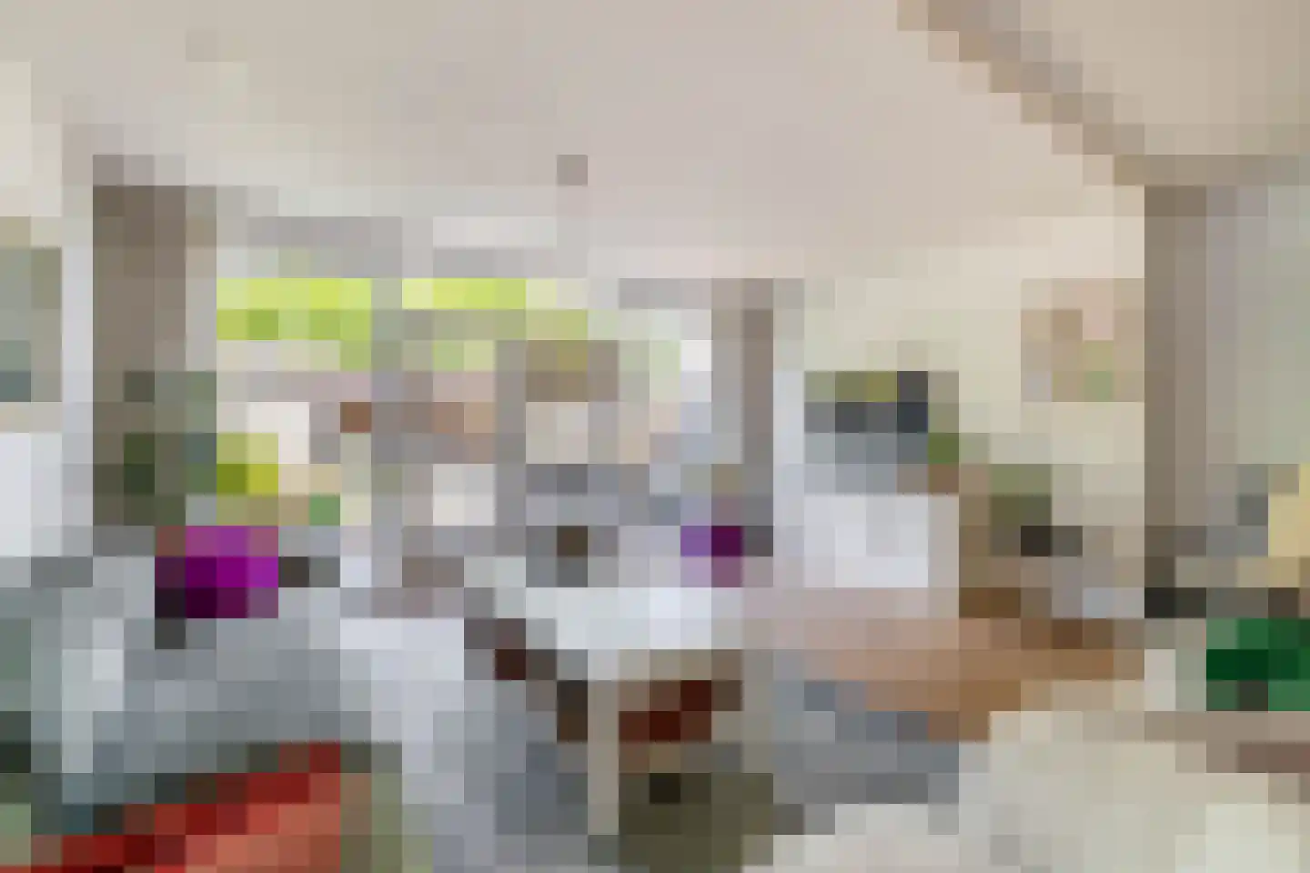 Voorvisser 8 Koog aan de Zaan thumbnail 6