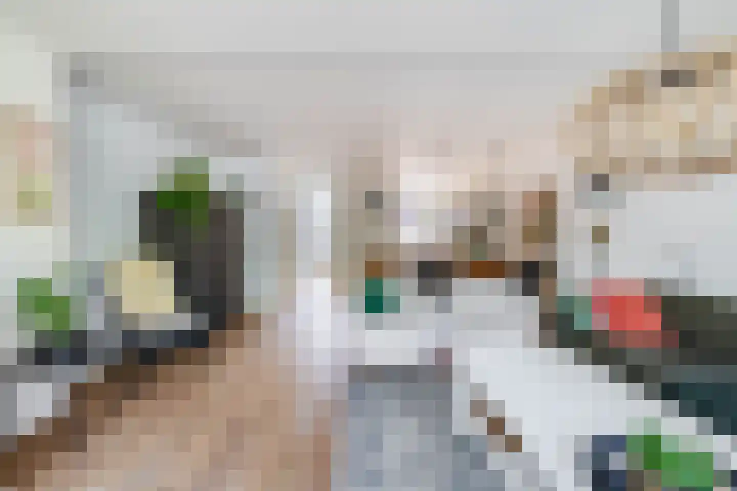 Voorvisser 8 Koog aan de Zaan thumbnail 9