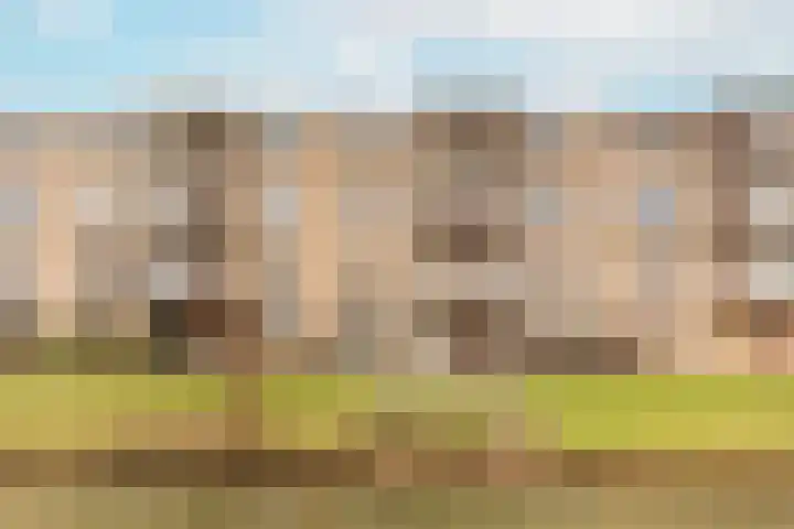 Voorwaartsveld 22 Leerdam thumbnail 24