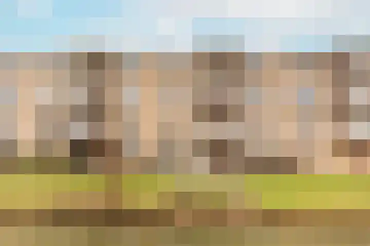Voorwaartsveld 33 Leerdam thumbnail 24
