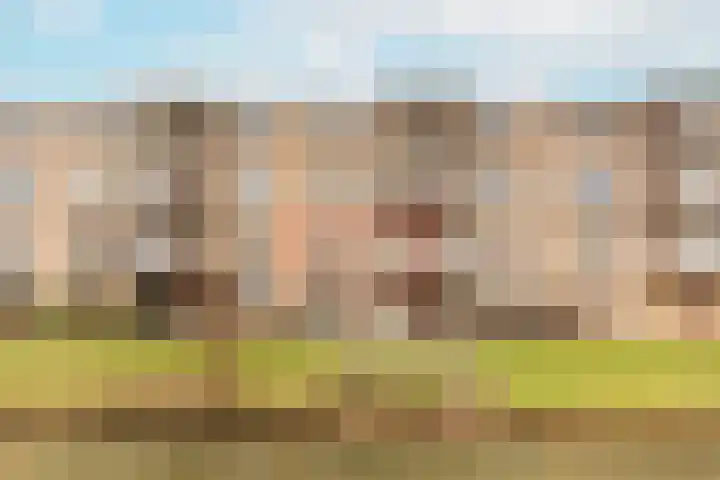 Voorwaartsveld 33 Leerdam thumbnail 9