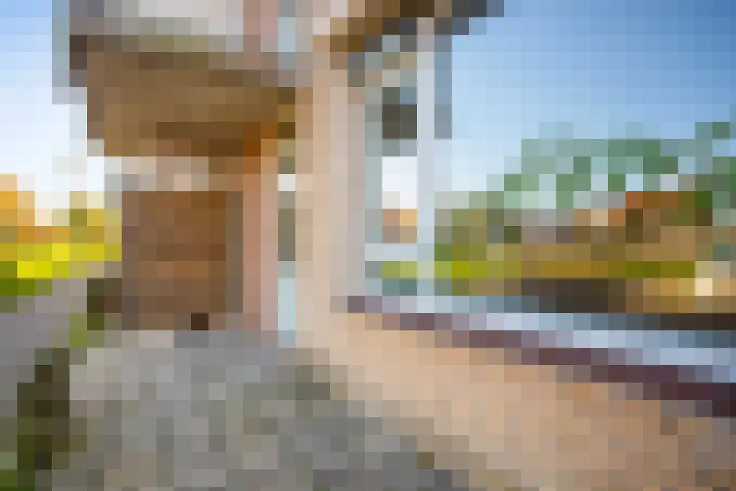 Voorwaartsveld 6 Leerdam thumbnail 8