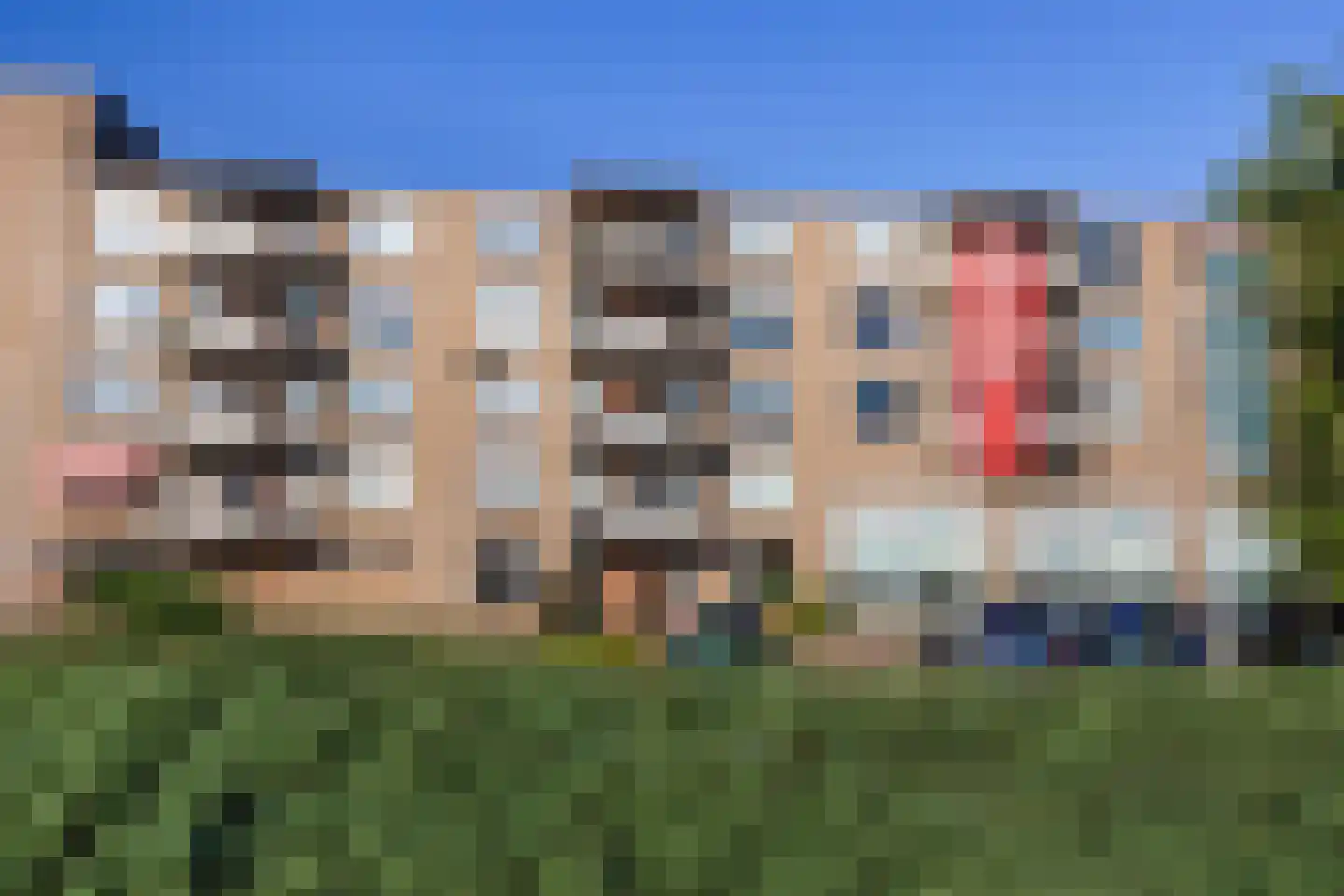 Voorwaartsveld 71 Leerdam thumbnail 25