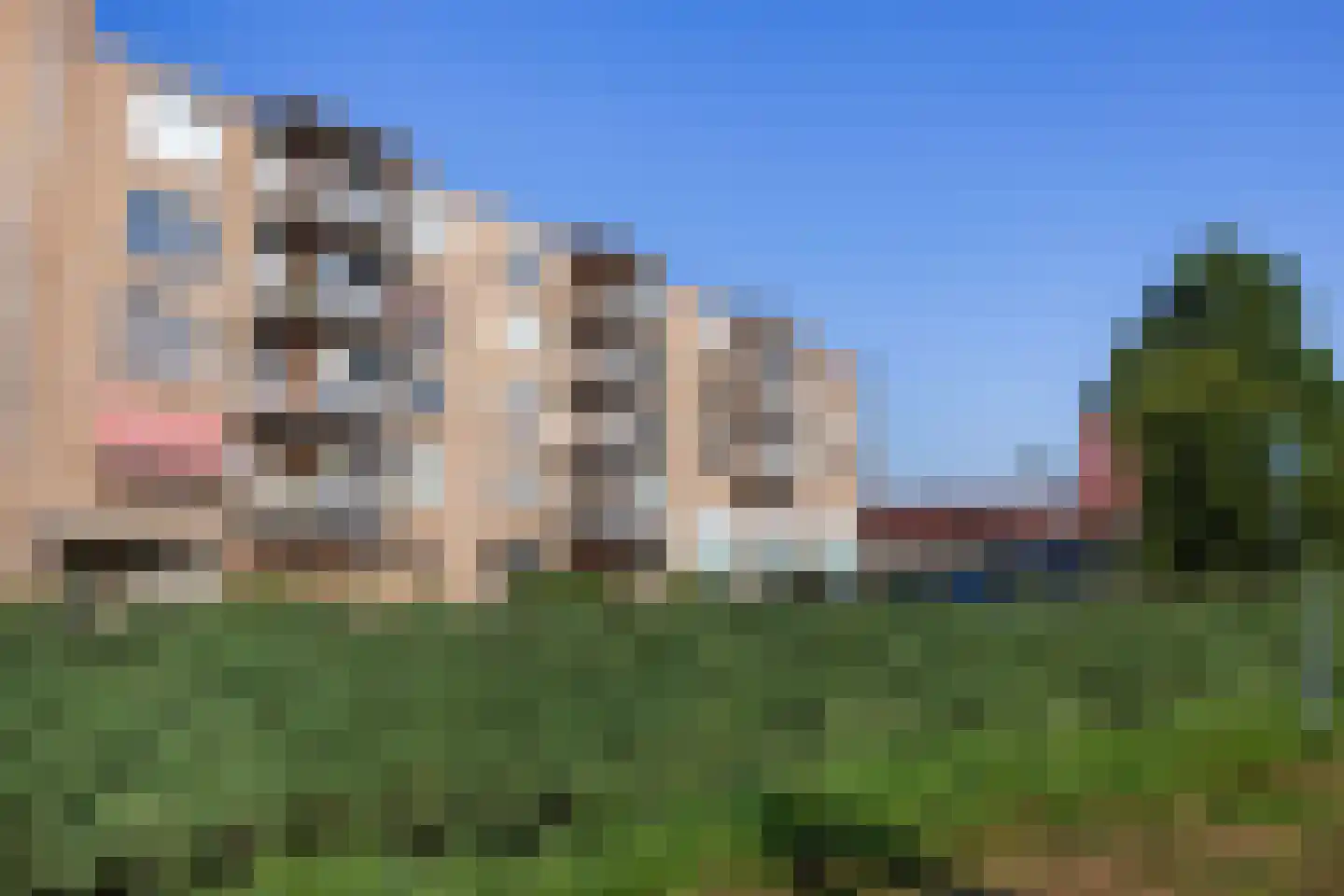 Voorwaartsveld 71 Leerdam thumbnail 26