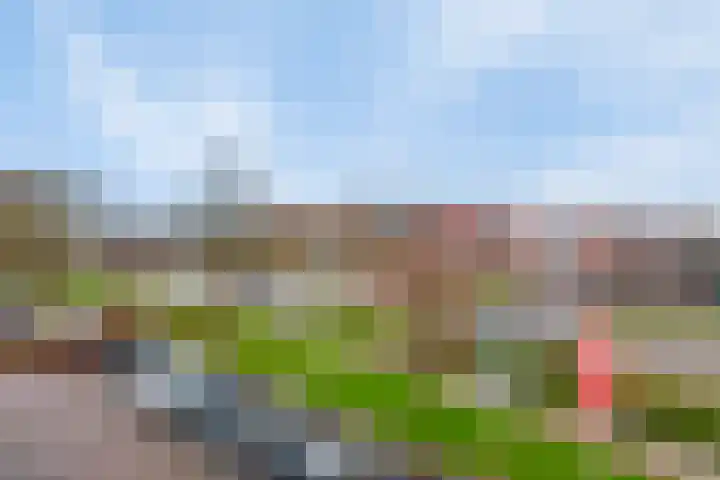 Voorwaartsveld 74 Leerdam thumbnail 8