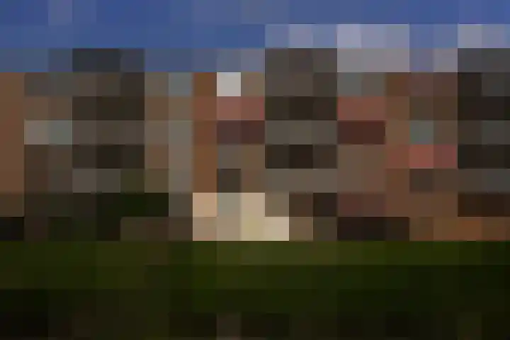 Voorwaartsveld 9 Leerdam thumbnail 28