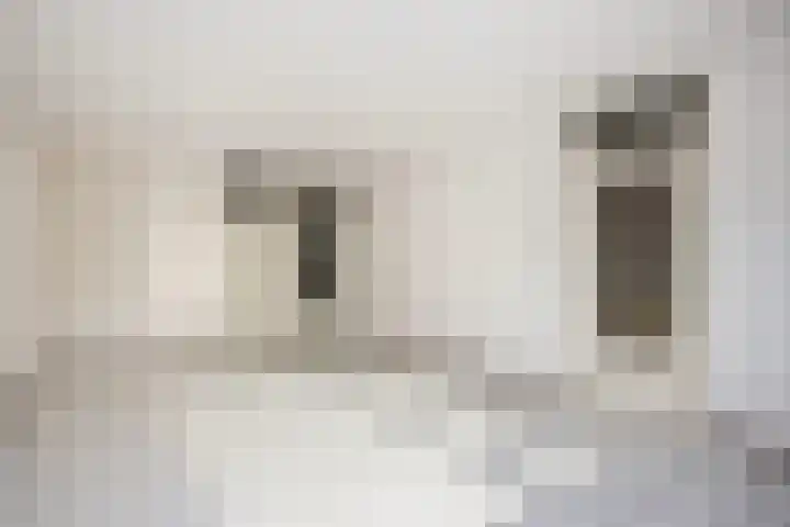 Voorwaartsveld 9 Leerdam thumbnail 6