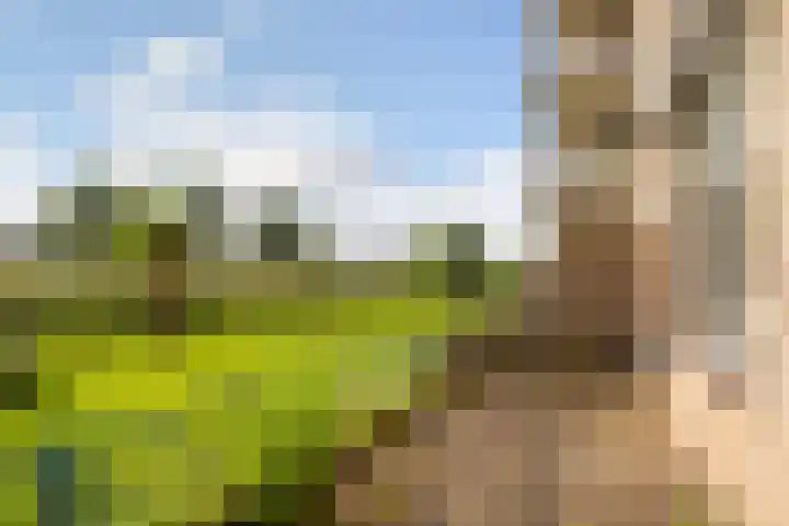 Voorwaartsveld 9 Leerdam thumbnail 7