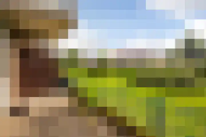 Voorwaartsveld 9 Leerdam thumbnail 8