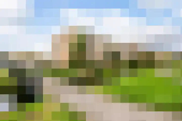 Voorwaartsveld 95 Leerdam thumbnail 25