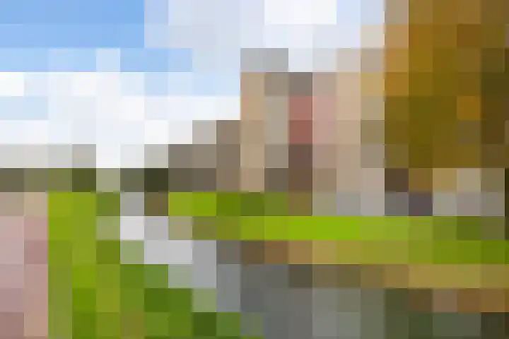 Voorwaartsveld 95 Leerdam thumbnail 27