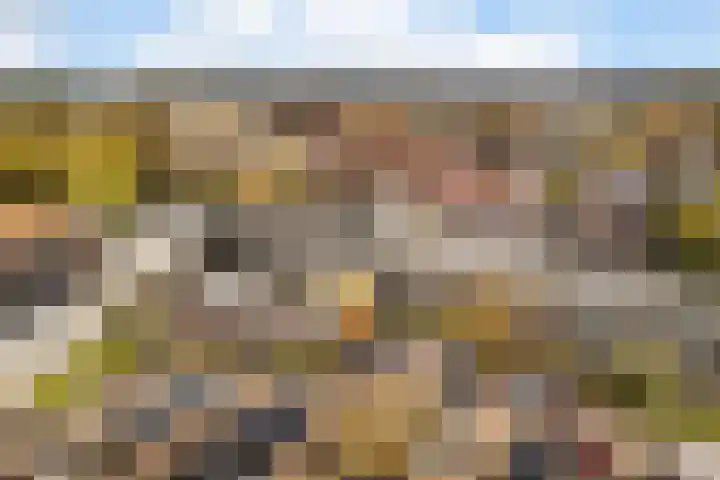 Voorwaartsveld 95 Leerdam thumbnail 33