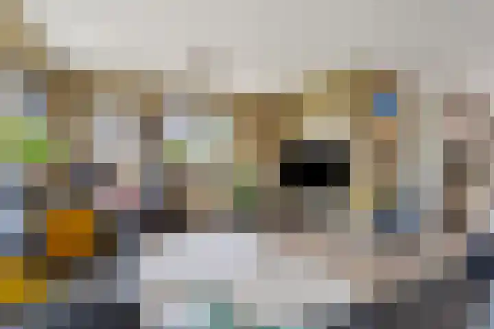 Voorweem 1 Valburg thumbnail 13