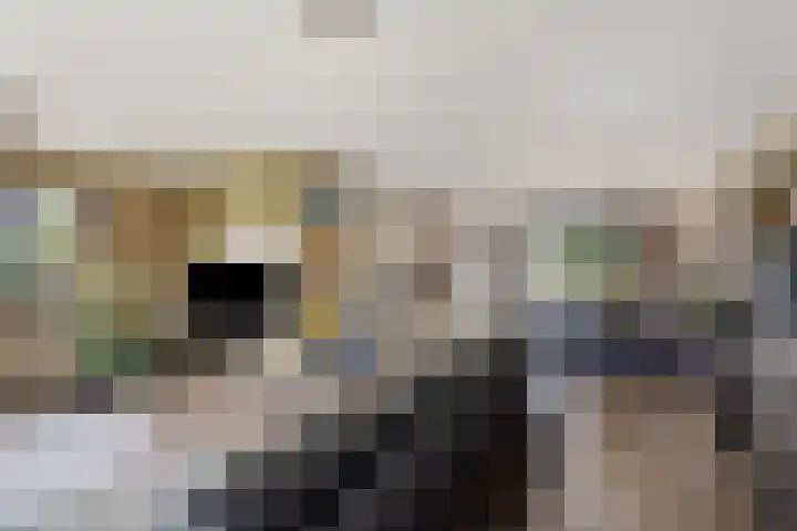 Voorweem 1 Valburg thumbnail 14