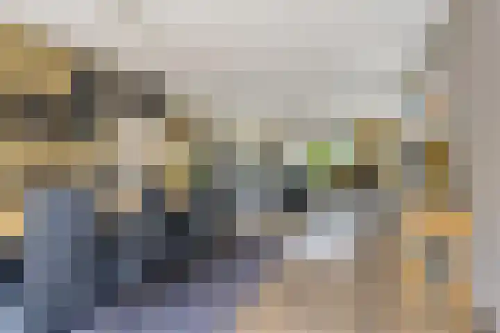 Voorweem 1 Valburg thumbnail 19