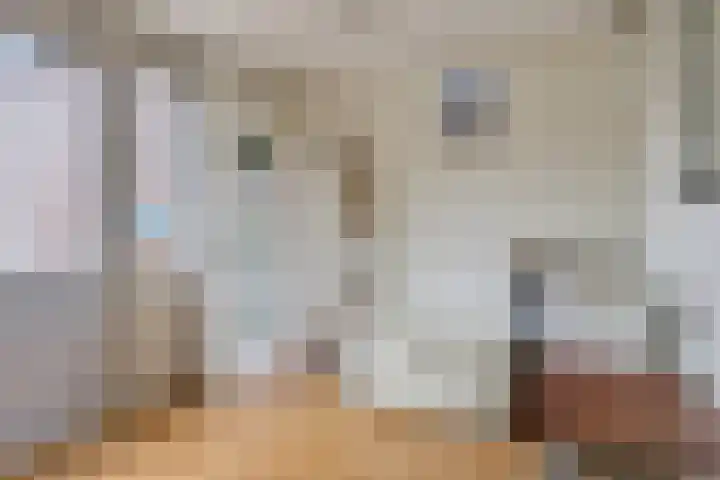 Voorweem 1 Valburg thumbnail 27