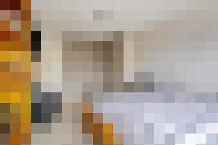 Voorweem 1 Valburg thumbnail 33