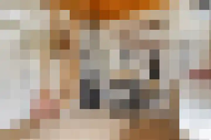 Voorweem 1 Valburg thumbnail 45