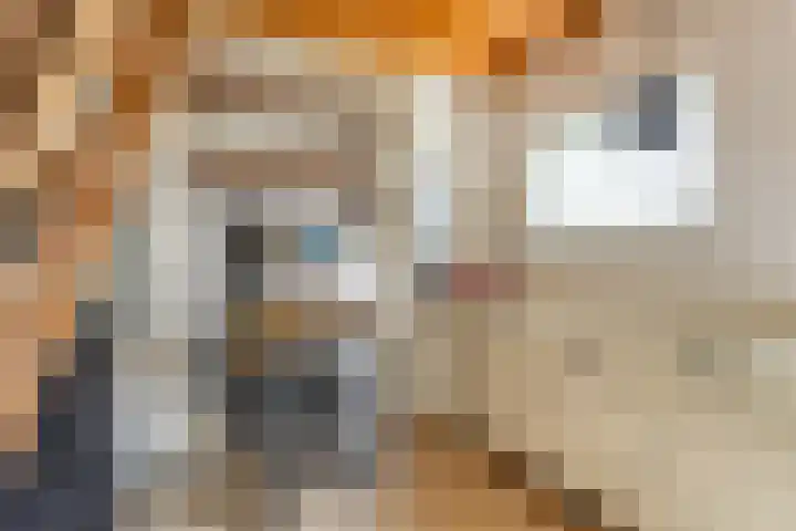 Voorweem 1 Valburg thumbnail 46