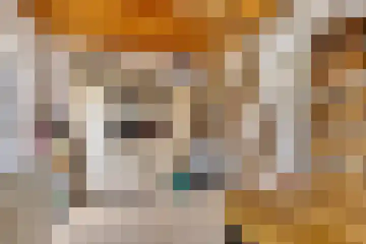 Voorweem 1 Valburg thumbnail 47
